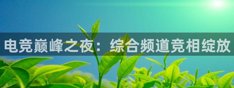 蜘蛛直播体育免费观看