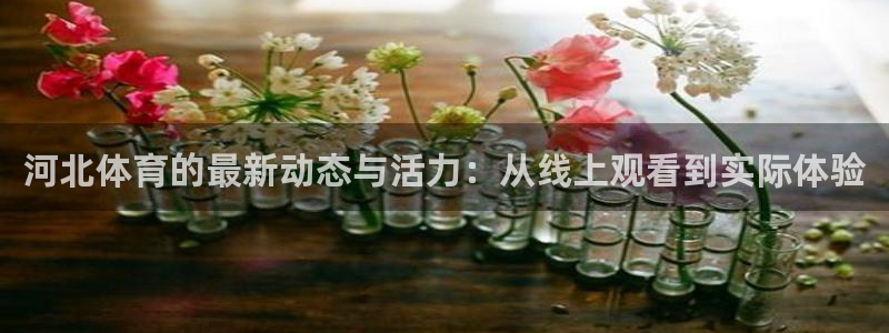 蜘蛛直播下载安卓版