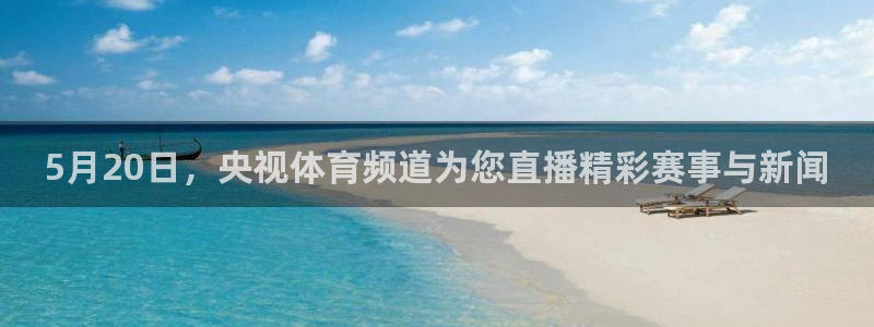 蜘蛛直播回放在哪看