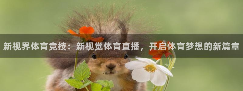 jrs蜘蛛直播nba