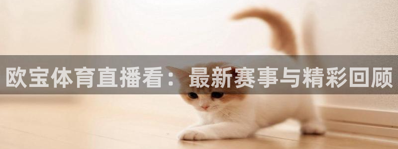 蜘蛛直播免费