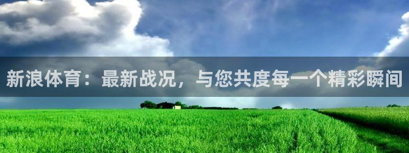蜘蛛直播在线观看nba