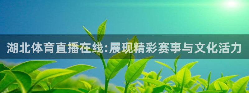 蜘蛛直播体育在线观看免费下载