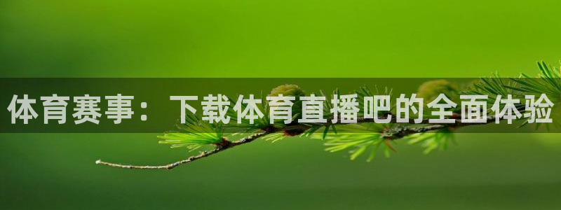 蜘蛛直播免费观看