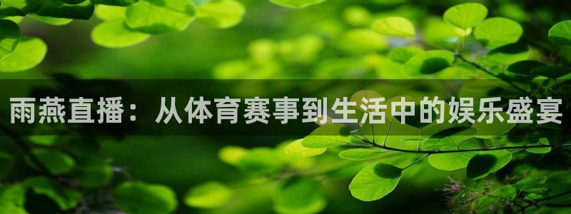 蜘蛛直播网站