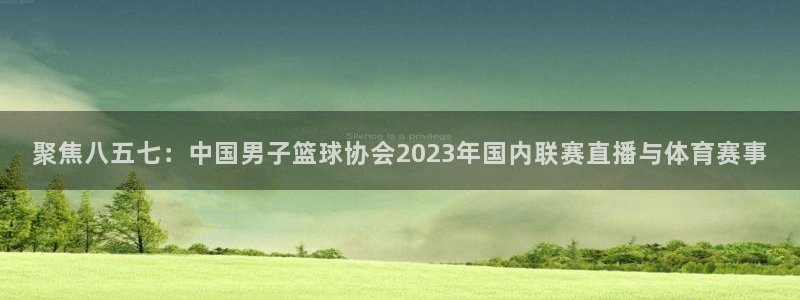 蜘蛛直播平台