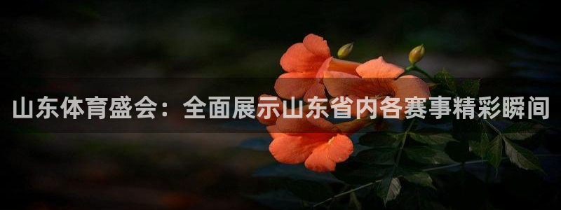 zzzb蜘蛛直播