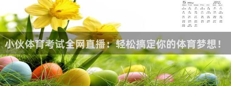低调看球jrs蜘蛛直播