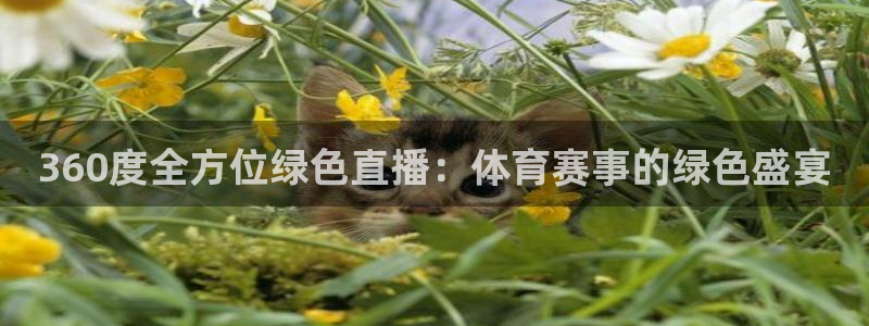 jrs蜘蛛直播nba：360度全方位绿色直播：体育赛事的绿色盛宴