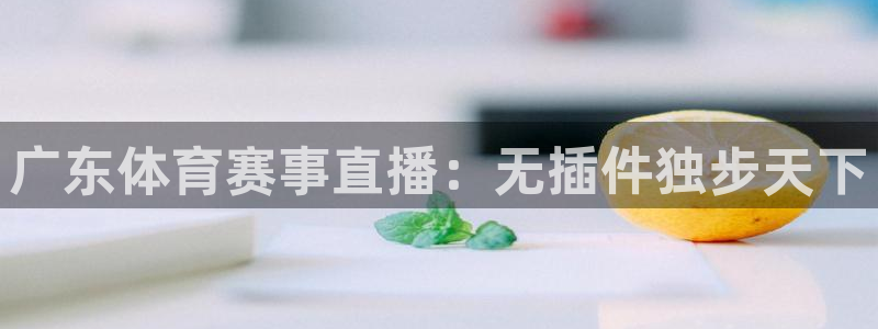 蜘蛛直播足球在线观看：广东体育赛事直播：无插件独步天下