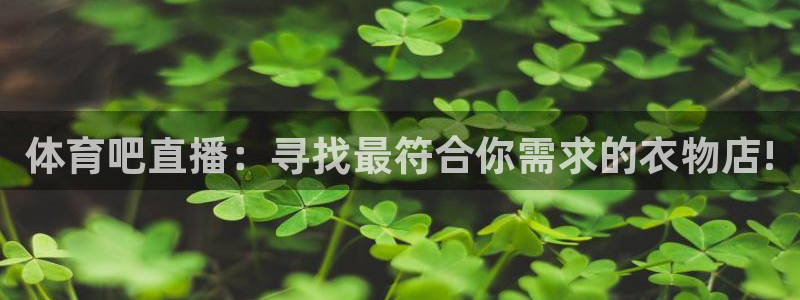 蜘蛛直播间篮球：体育吧直播：寻找最符合你需求的衣物店!