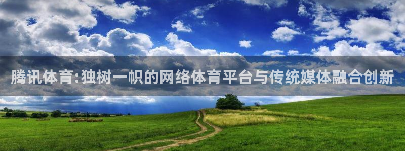 足球蜘蛛直播：腾讯体育:独树一帜的网络体育平台与传统媒体融合创新