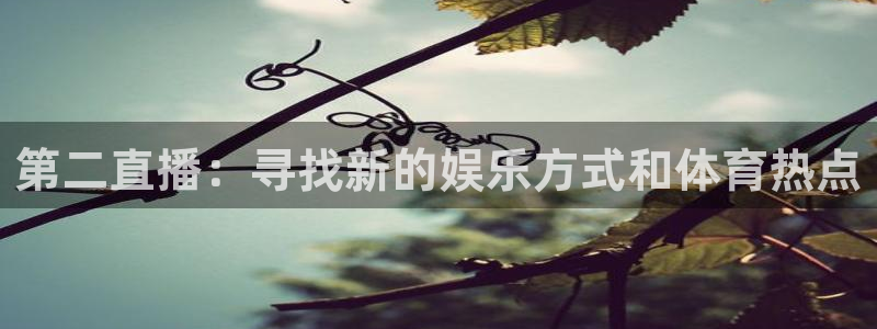 蜘蛛直播体育免费直播：第二直播：寻找新的娱乐方式和体育热点