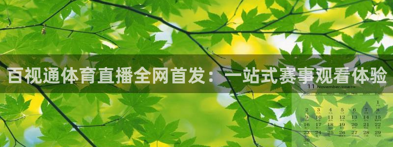 jrs蜘蛛直播：百视通体育直播全网首发：一站式赛事观看体验