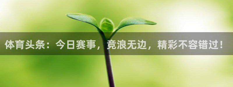 蜘蛛直播网址：体育头条：今日赛事，竞浪无边，精彩不容错过！