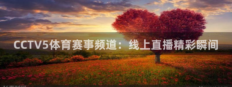 蜘蛛直播体育：CCTV5体育赛事频道：线上直播精彩瞬间