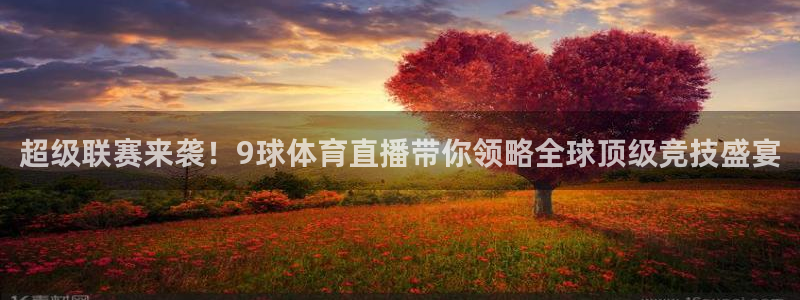 蜘蛛直播网球：超级联赛来袭！9球体育直播带你领略全球顶级竞技盛宴