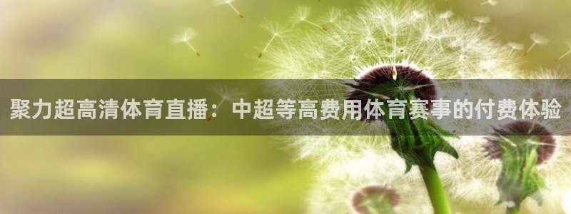 蜘蛛直播间：聚力超高清体育直播：中超等高费用体育赛事的付费体验