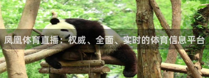 蜘蛛直播体育app下载：凤凰体育直播：权威、全面、实时的体育信息平台