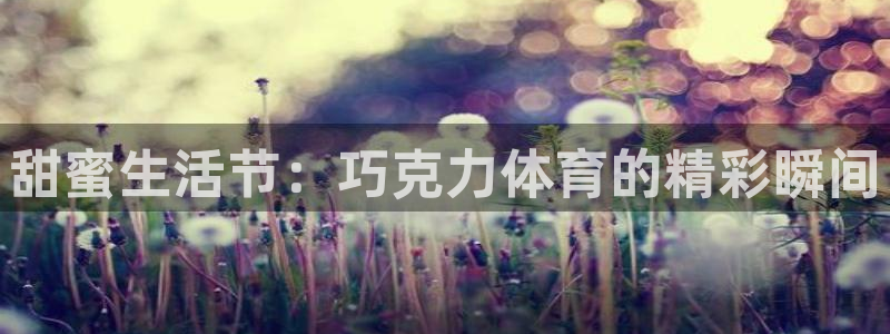 蜘蛛直播免费：甜蜜生活节：巧克力体育的精彩瞬间