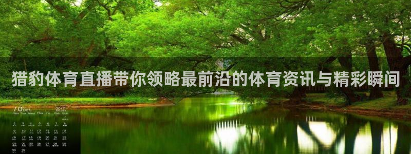 蜘蛛直播在线免费观看：猎豹体育直播带你领略最前沿的体育资讯与精彩瞬间
