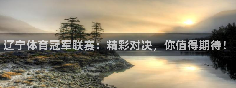 蜘蛛直播网站：辽宁体育冠军联赛：精彩对决，你值得期待！