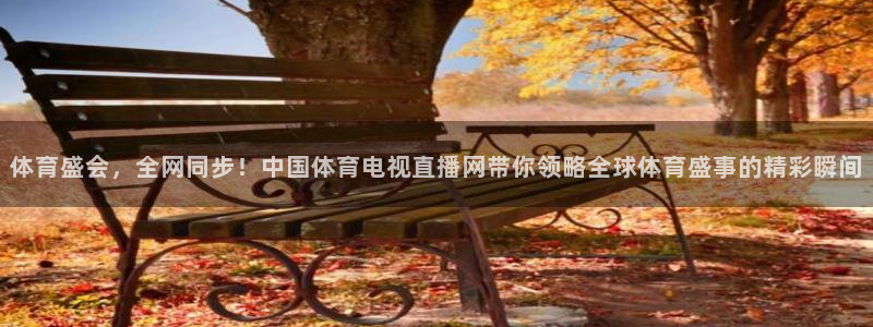 蜘蛛直播.