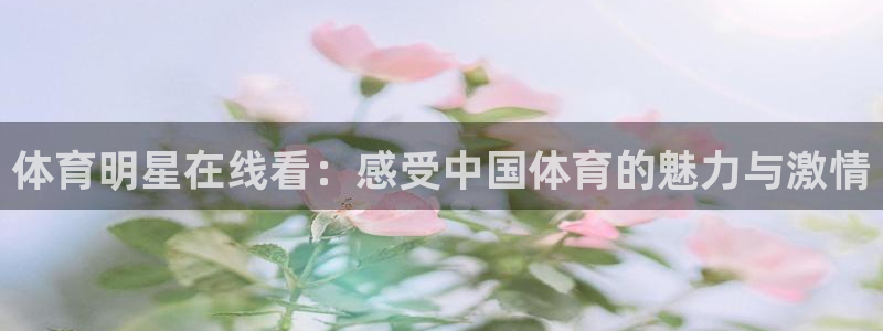 蜘蛛直播足球直播在线直播：体育明星在线看：感受中国体育的魅力与激情