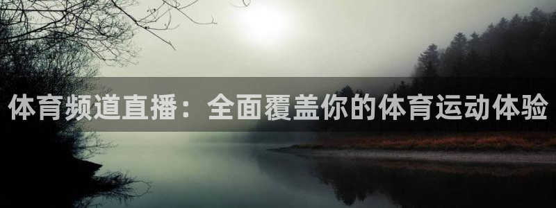 蜘蛛直播网：体育频道直播：全面覆盖你的体育运动体验