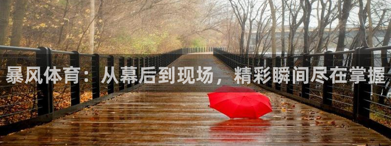 蜘蛛直播在线直播