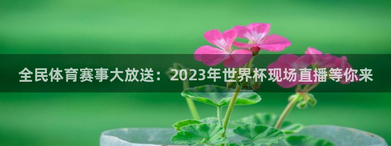 花蜘蛛直播：全民体育赛事大放送：2023年世界杯现场直播等你来