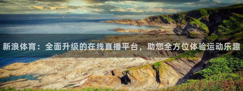 蜘蛛直播网址：新浪体育：全面升级的在线直播平台，助您全方位体验运动乐趣